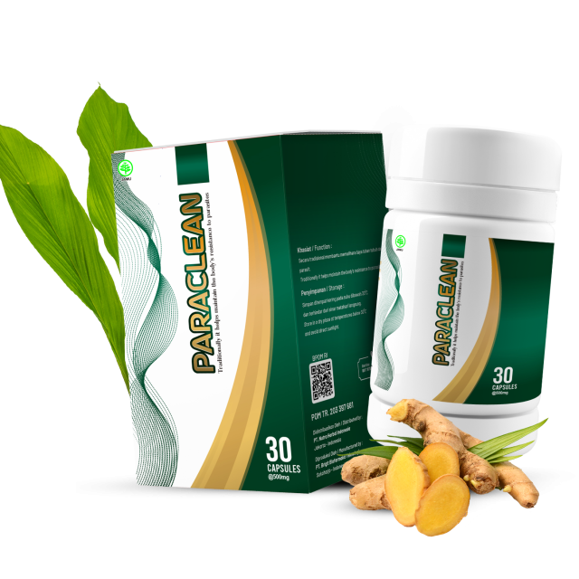https://centralmedika.com/wp-content/uploads/2026/07/PARACLEAN-DECOR-02-640x640.png